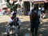 Thumbs/tn_Dsc00082.jpg