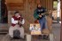 Thumbs/tn_R922009.jpg
